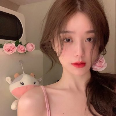 猫与苍蝇